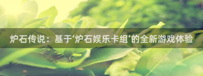 彩名堂5.0计划：炉石传说：基于‘炉石娱乐卡组’的全新游戏体验