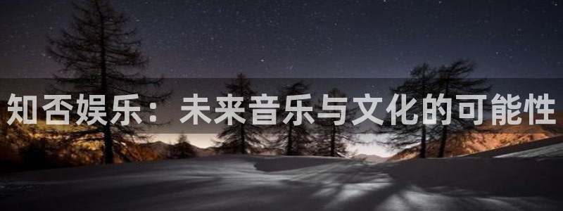 彩名堂计划怎么样：知否娱乐：未来音乐与文化的可能性