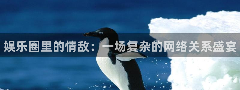 彩名堂官网计划：娱乐圈里的情敌：一场复杂的网络关系盛宴
