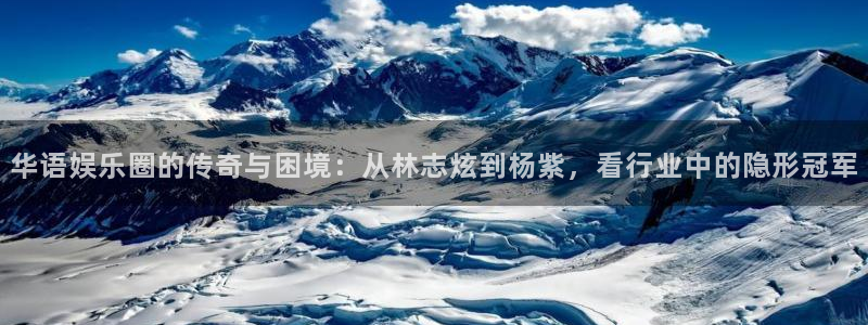 彩名堂官方平台：华语娱乐圈的传奇与困境：从林志炫到杨紫，看行业中的隐形冠军