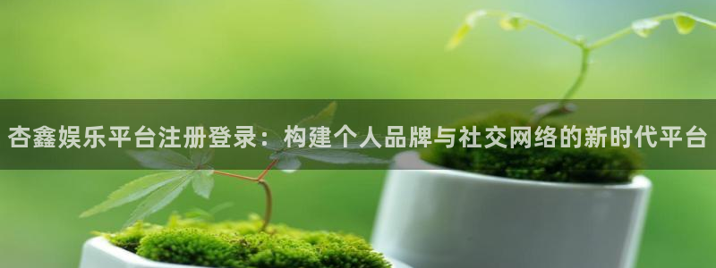 彩名堂全天计划：杏鑫娱乐平台注册登录：构建个人品牌与社交网络的新时代平台
