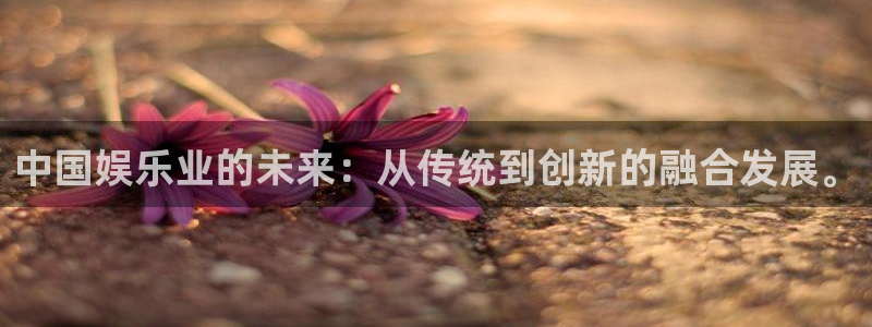 彩名堂安卓版：中国娱乐业的未来：从传统到创新的融合发展。