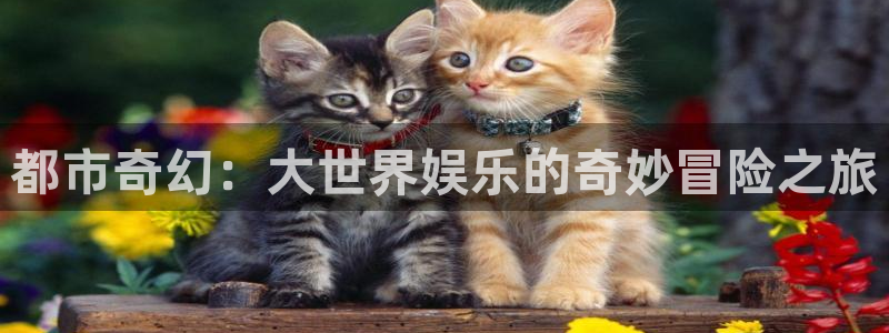 彩名堂官网计划：都市奇幻：大世界娱乐的奇妙冒险之旅