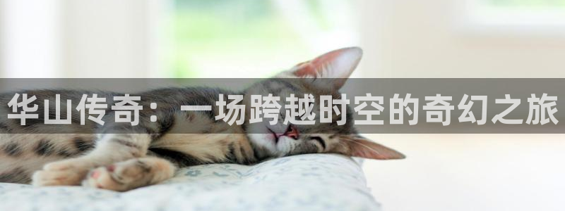 彩名堂官网2：华山传奇：一场跨越时空的奇幻之旅